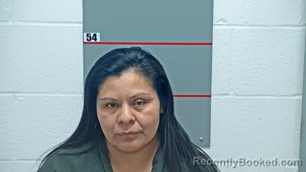 Mugshot of BRIGIDA CERVANTES-SANCHEZ