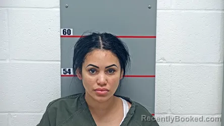 Booking photo from Grayson County, Kentucky