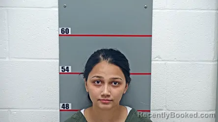 Booking photo from Grayson County, Kentucky