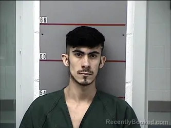 Mugshot of DIONEL ALBERTO MEJIA-SOSA