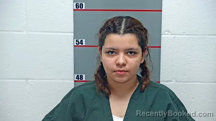 Mugshot of ANA ALFARO