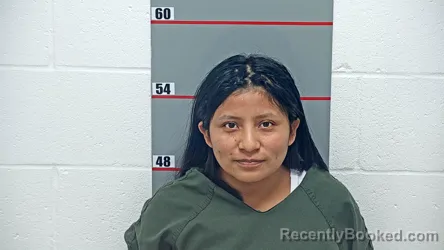 Mugshot of PLACIDA MORENO-GOMEZ