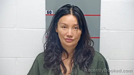 Mugshot of XIA NIANXIAN
