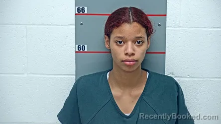 Mugshot of ANGELICA VANESA CHIRINO QUERO