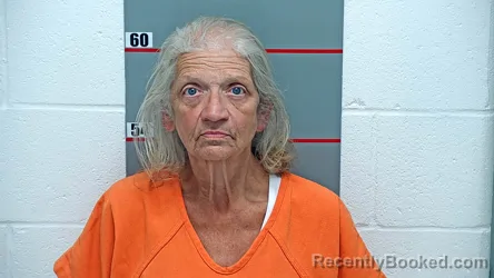 Mugshot of LORI M WILIAMS booked in Grayson County, Kentucky on May 11, 2026