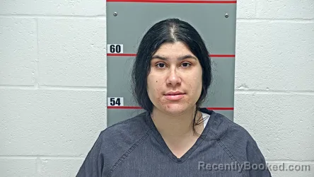 Mugshot of ROXANA LEYVA-PEREZ