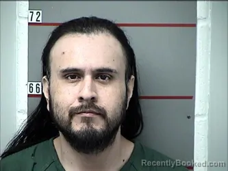 Mugshot of JORGE BRAVO