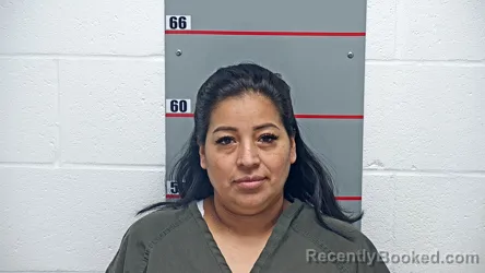 Mugshot of MARIA AMAYA RAMIREZ