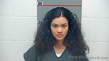 Mugshot of YANIRA GONZALEZ SANTOYO