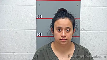 Mugshot of NORMA BECERRIL-CASTILLO