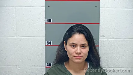 Mugshot of GLENDY PEREZ VILLALTA