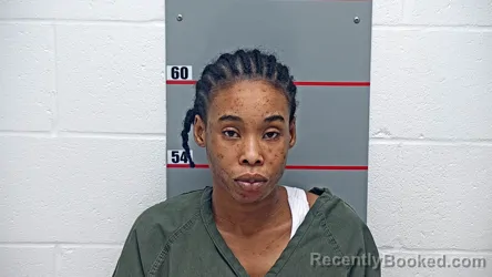 Mugshot of VANESSA PERICLES