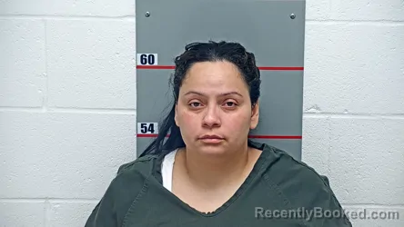 Mugshot of ANYIBEL ROJAS SEQUERA