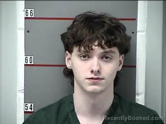 Mugshot of STEVEN PERKINSON