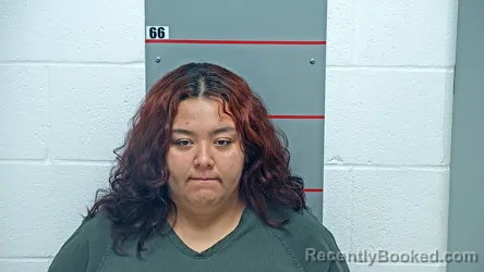 Mugshot of LIZETH VALERIA GARCIA-RUIZ