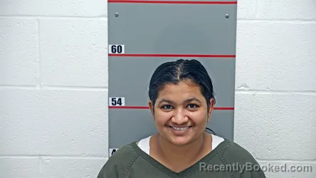 Mugshot of RAVINABEN PATEL
