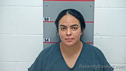 Mugshot of ELSA HERRERA HERRERA