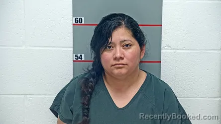 Mugshot of DEYSI LOPEZ-RIVAS