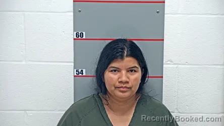 Mugshot of VERUSKA MEDINA MARIN booked in Grayson County, Kentucky on March 26, 2026