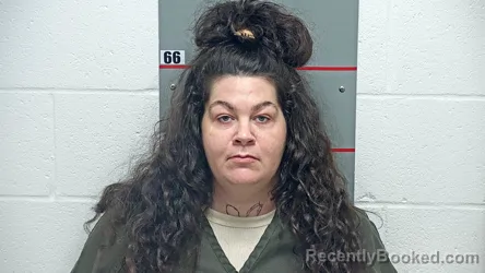 Mugshot of ALEXIS S NEWPORT booked in Grayson County, Kentucky on March 26, 2026