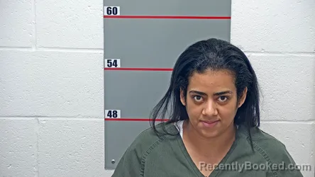 Mugshot of BERLIN ANTUNEZ-ANTUNEZ booked in Grayson County, Kentucky on March 26, 2026