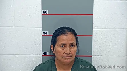 Mugshot of ANGELINA JUAN-FELIPE booked in Grayson County, Kentucky on March 31, 2026