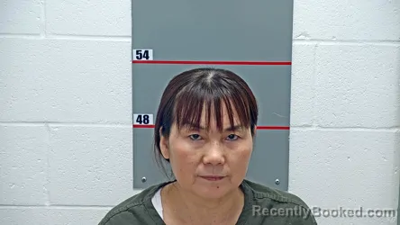 Mugshot of YUN HUA DAI booked in Grayson County, Kentucky on March 31, 2026