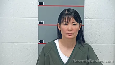 Mugshot of HAIMEI YANG booked in Grayson County, Kentucky on March 31, 2026