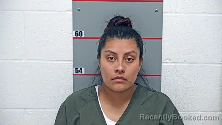 Mugshot of ELIANA TEXIS RAMIREZ booked in Grayson County, Kentucky on April 1, 2026