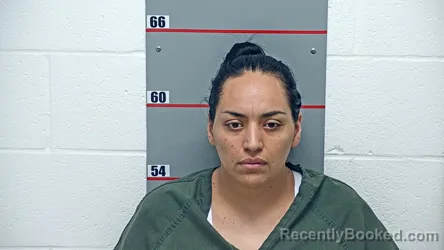 Mugshot of LESLIE DANIELA TABOADA SILVA booked in Grayson County, Kentucky on April 3, 2026