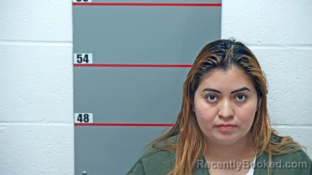 Mugshot of DAMARIS TALAVERA-MARIN booked in Grayson County, Kentucky on April 3, 2026