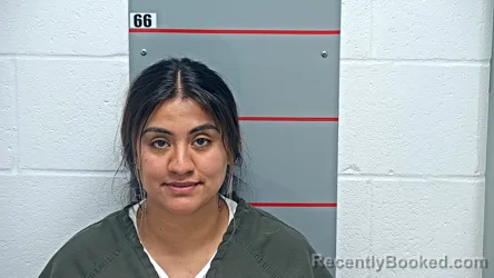 Mugshot of MARIA VARGAS-VELLA booked in Grayson County, Kentucky on April 3, 2026