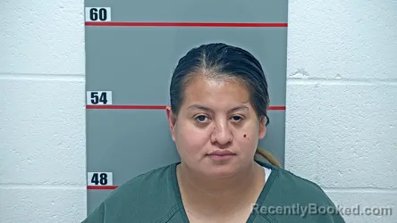 Mugshot of KATERIN MUNOZ-ROMERO booked in Grayson County, Kentucky on April 17, 2026