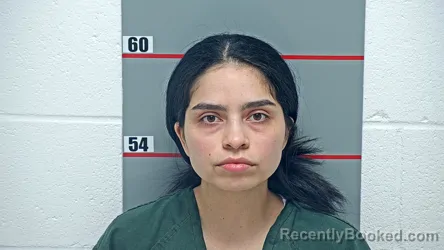 Mugshot of DAYEXY ANTEQUERA-URISTIETA booked in Grayson County, Kentucky on April 24, 2026