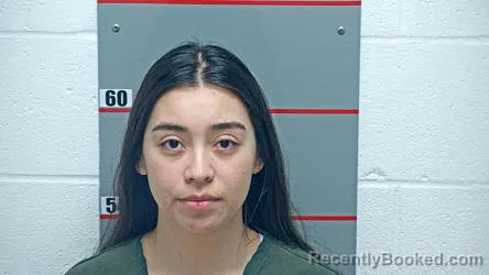 Mugshot of DAMARIS OCHOA-GONZALEZ booked in Grayson County, Kentucky on April 24, 2026