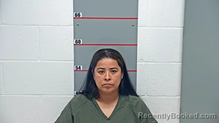 Mugshot of BETSIBETH CHIRINOS RODRIGUEZ booked in Grayson County, Kentucky on April 25, 2026
