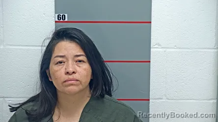 Mugshot of BERTHA CASTRO DE JESUS booked in Grayson County, Kentucky on April 29, 2026