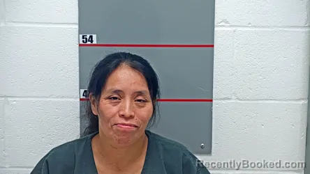 Mugshot of JUANA AJPACAJA PUAC booked in Grayson County, Kentucky on May 2, 2026