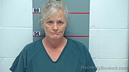 Mugshot of KELLY WILLIS booked in Grayson County, Kentucky on April 30, 2026