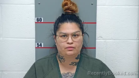Mugshot of STEPHANIE MARIE TERRELL booked in Grayson County, Kentucky on April 30, 2026