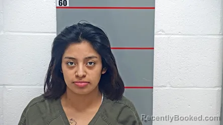 Mugshot of VIANEY PEREZ SANTIZO booked in Grayson County, Kentucky on May 1, 2026