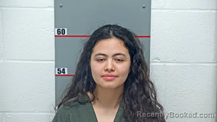 Mugshot of DAFNY JUNAY-VILLALOVOS booked in Grayson County, Kentucky on May 2, 2026