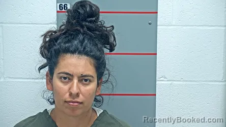 Mugshot of LIZANY GARCIA LLAMAS booked in Grayson County, Kentucky on May 6, 2026