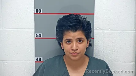 Mugshot of JACQUELINE DEL VALLE AYALA-ESQUEA booked in Grayson County, Kentucky on May 11, 2026