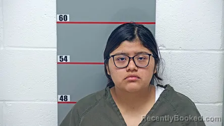 Mugshot of ALEJANDRA LIZETH MIGUEL DOMINGO booked in Grayson County, Kentucky on May 12, 2026