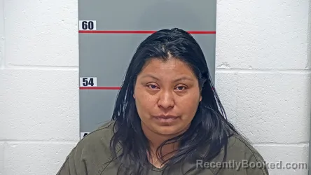 Mugshot of BERNARDINA LOPEZ-HERNANDEZ booked in Grayson County, Kentucky on May 13, 2026