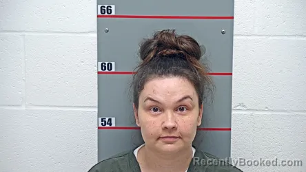 Mugshot of ALISON GRACE booked in Grayson County, Kentucky on May 18, 2026