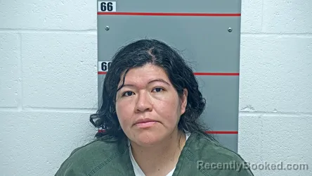 Mugshot of CARLA VEGA PACHECO booked in Grayson County, Kentucky on May 18, 2026