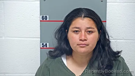 Mugshot of NANCY GOCHEZ BARRIENTOS booked in Grayson County, Kentucky on May 19, 2026