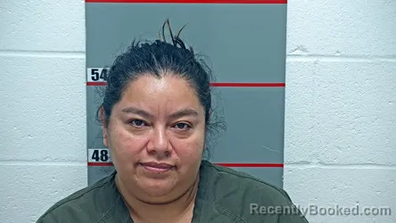 Mugshot of SANDRA FAJARDO-REYES booked in Grayson County, Kentucky on June 3, 2026